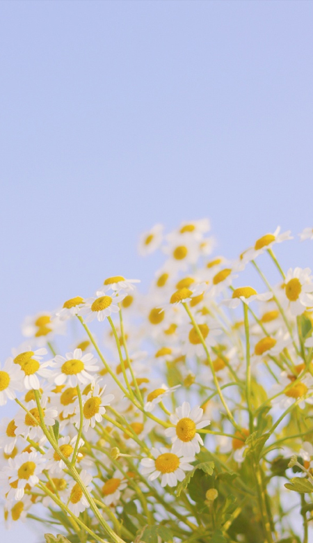 简约让人心动的好看的壁纸 让人很欢喜的气质壁纸最新版