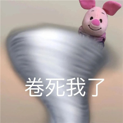 很逗比的搞笑表情笑死人 2023最新逗比专属表情大全