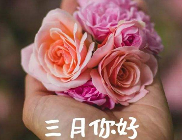 二月再见三月你好伤感说说 2023三月请我好一点心情短句