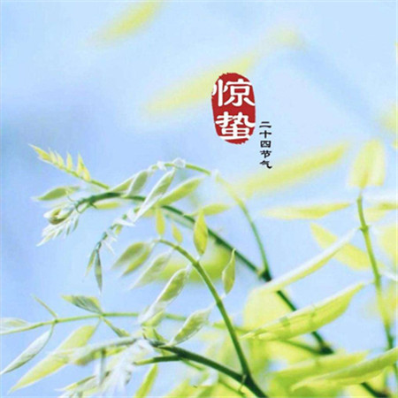 2023惊蛰节气高清唯美微信图片合集 惊蛰春雷响视界万物生
