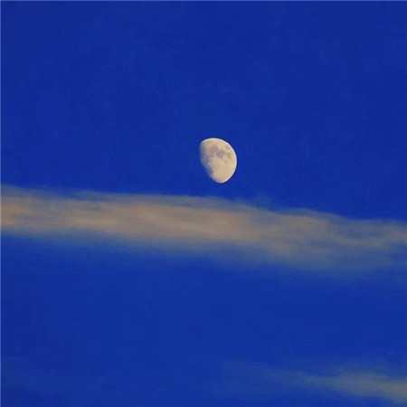 很有艺术感高清的微信朋友圈背景图 路的尽头终会是温柔的月光