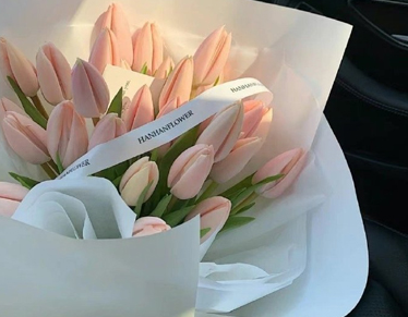 2023三八妇女节精选微信祝福语 妇女节简单的祝福文案