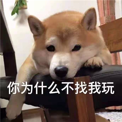 2023最热门的搞怪表情 你为什么不找我玩