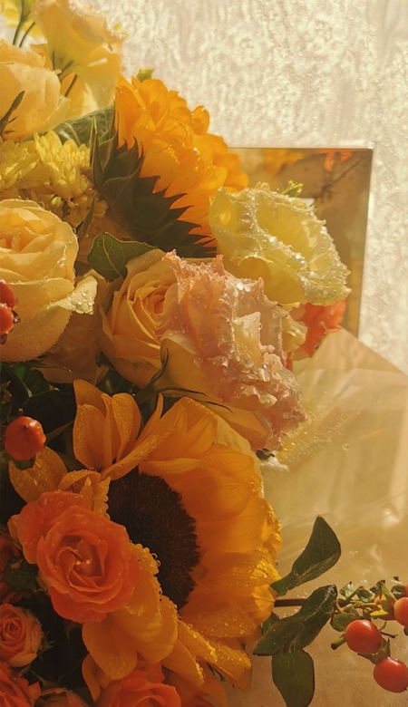 高级感的很舒心的壁纸最新 让人极度舒适的壁纸合集