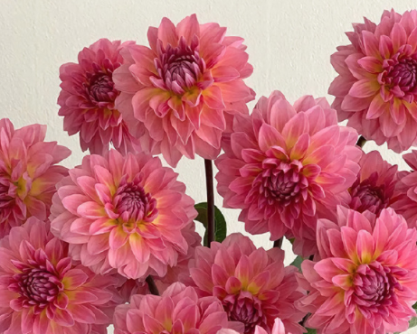 2023夏季很舒心的唯美签名 关于夏季超级唯美的短句签名