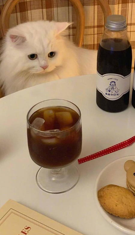 全面屏高清手机壁纸ins很好看 最近很火的屏保最新版