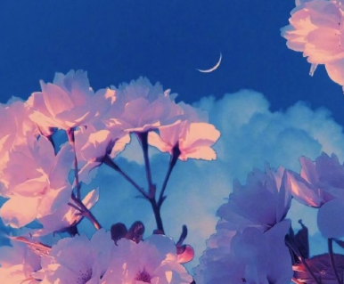 2023夏季穿裙子拍照的文案 很文艺清新的夏季说说