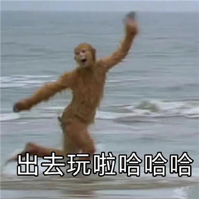 超级趣味的经典微信表情合集 2023无水印经典表情大全