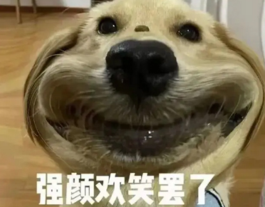 2023适舔狗发的搞笑说说 关于舔狗搞笑的语录