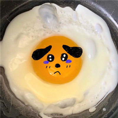 好玩又很可爱的煎蛋头像2023 别让今天成为明天的遗憾