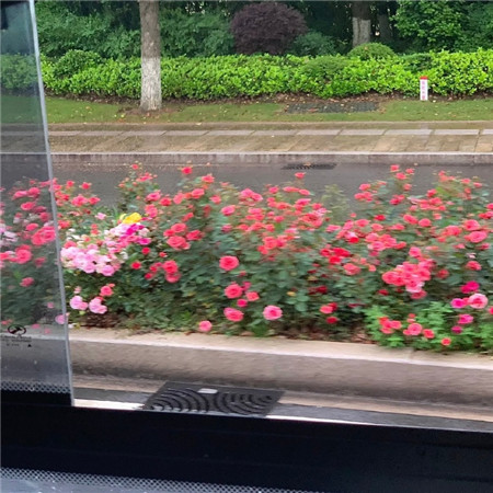 2023很有创意可爱的微信背景图合集 很火又很干净的微信素材合集