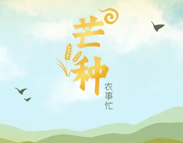 2023芒种节气的祝福语说说 二十四节气芒种祝福语大全