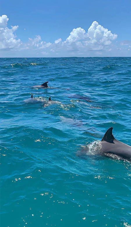 很个性的适合女生的高清壁纸最新 2023超级好看的手机壁纸合集