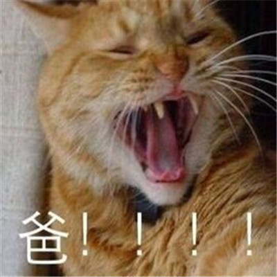 2023超级可爱的父亲节快乐表情 爸爸是我心中的男神