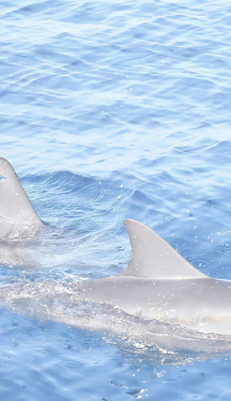 很有活力的清新壁纸好看全面屏 2023很好看的壁纸最新版