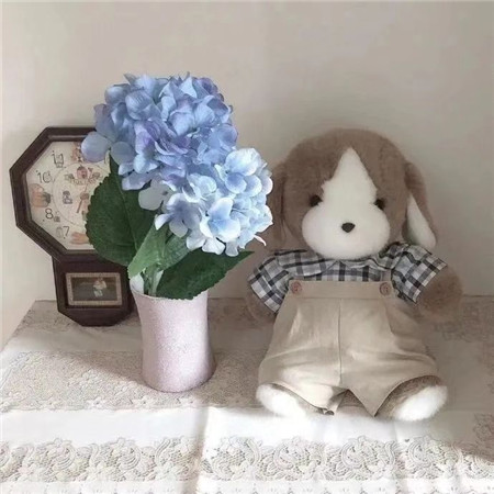 2023有个性的图片很热门 这个世界我们只来一次不妨大胆一点