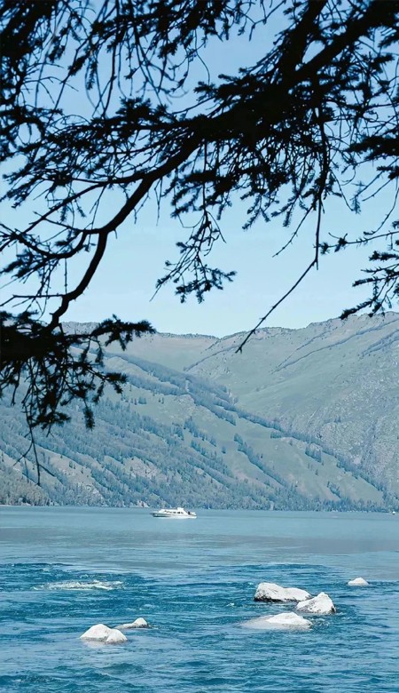 2023清新简约的高清唯美壁纸合集 浪漫的本质是不确定性