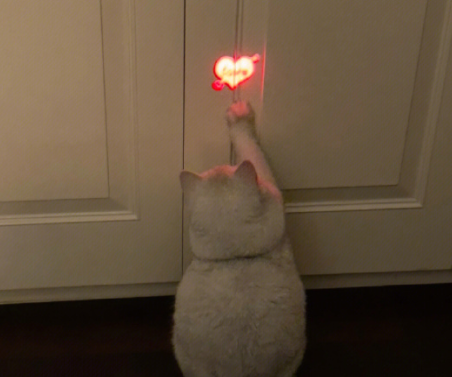 思念的个性签名大全简短 全新关于想念的签名合集 思念的个性签名大全简短 全新关于想念的签名合集