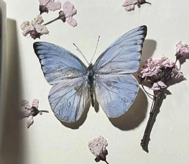 特别干净的唯美签名短句 暖心气质的唯美签名 特别干净的唯美签名短句 暖心气质的唯美签名