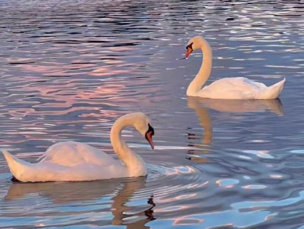 满足现状的幸福签名 幸福就是有希望有事做能爱人 满足现状的幸福签名 幸福就是有希望有事做能爱人