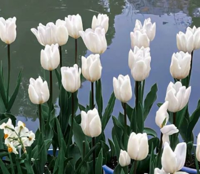 很有高级感的微信签名 又短又酷的个性签名 很有高级感的微信签名 又短又酷的个性签名