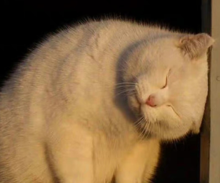 一个人独来独往的签名 没有朋友独来独往的签名 一个人独来独往的签名 没有朋友独来独往的签名