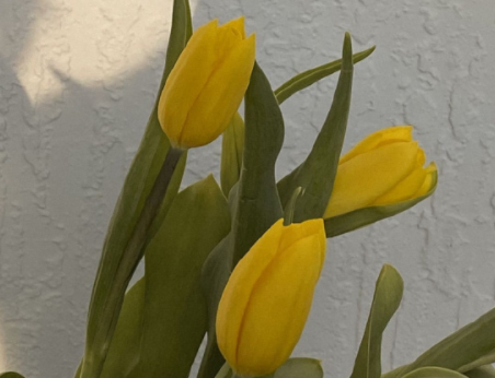 适合秋天发的文案短句 2023秋季好听唯美的说说