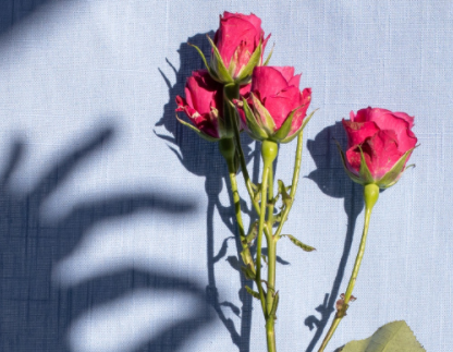 适合秋天发的文案短句 2022秋季好听唯美的说说