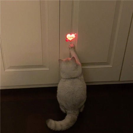 温柔不失气质的背景图精选 2023干净又很仙气的背景合集