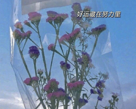 真正有吸引力的女人个性签名 比较勾人的个性签名 真正有吸引力的女人个性签名 比较勾人的个性签名