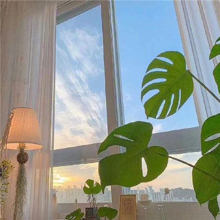 2023阳光的微信素材高清无水印 你的背景图该换了