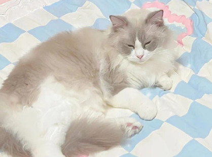 很生气的签名短句霸气 很愤怒的签名最新 很生气的签名短句霸气 很愤怒的签名最新