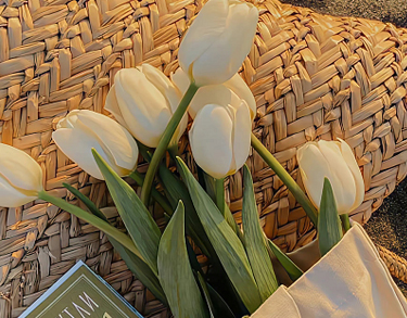 2023八月再见伤感说说 八月再见九月你好伤感语录