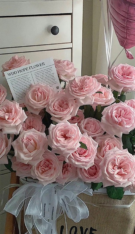 温柔又很浪漫的清新简约壁纸 温馨全面屏的浪漫皮肤2023