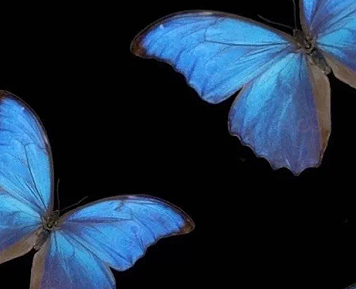 老公出轨的心酸文案 老公出轨伤感的句子不明显 老公出轨的心酸文案 老公出轨伤感的句子不明显