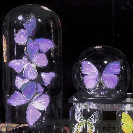 2023超有浪漫感紫色系的温柔背景图 各自乘流而上互为欢喜人间