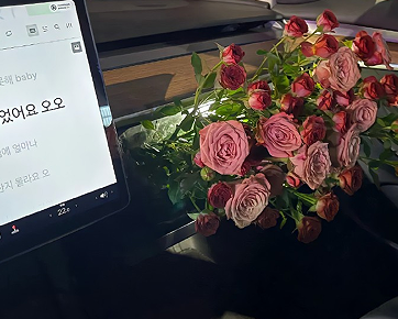 不要让自己留遗憾的说说 过好每天生活的不留遗憾的短句