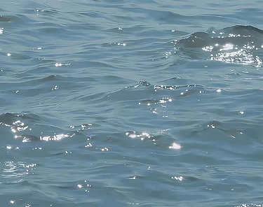 离婚后很潇洒的文案 离婚了解脱了说说