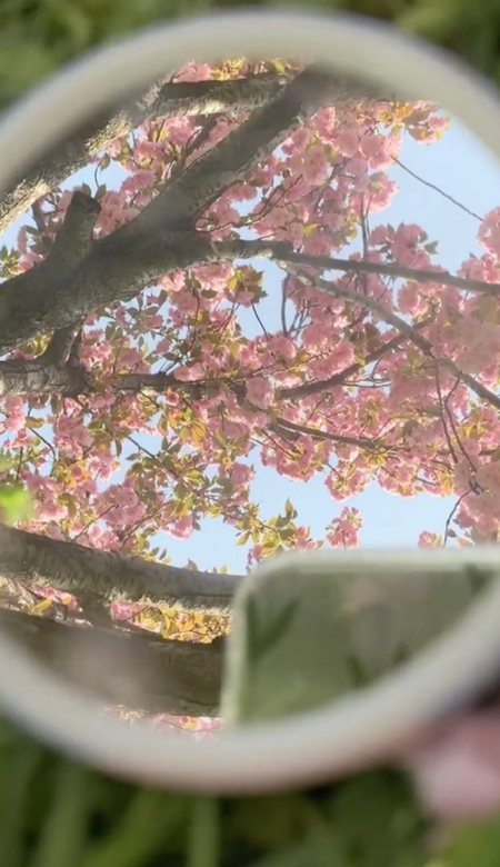 2023春季温柔风唯美高清壁纸 那就打包春天吧