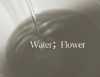 超哇撒的寓意很好的英文网名 私藏英文名巨有可爱感 超哇撒的寓意很好的英文网名 私藏英文名巨有可爱感