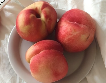 往后余生不再将就的说说 余生学会好好爱自己的语录 往后余生不再将就的说说 余生学会好好爱自己的语录