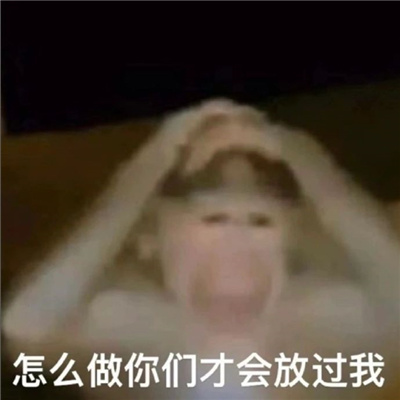 2024小众款的表情很特别又好用 各种有趣的表情大全