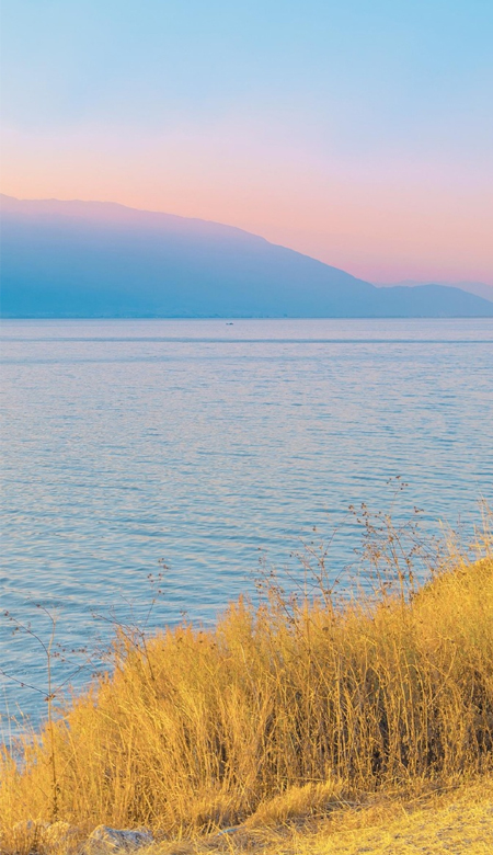 新鲜出炉的很宝藏的壁纸无水印 我爱你的破碎胜过爱你的完美