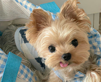 比较可爱又很有格调的签名 让你心动不已的签名 比较可爱又很有格调的签名 让你心动不已的签名