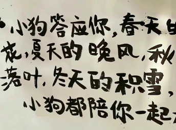 2024很棒的温柔签名句句用心 去爱那个普通的自己吧 2024很棒的温柔签名句句用心 去爱那个普通的自己吧
