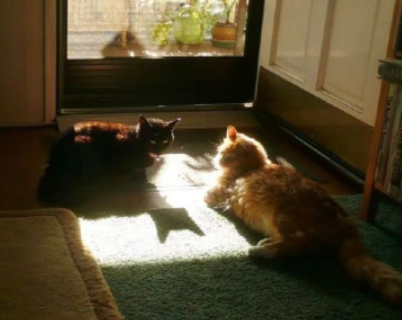 关于重庆的文案简短 打卡重庆的说说朋友圈