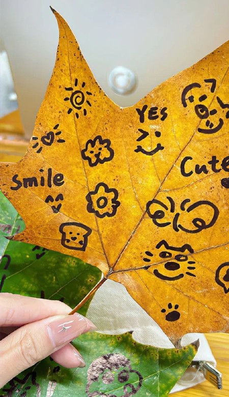 最新日常小众壁纸简约无水印 秋天是倒放的春天