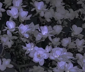 不要频频回头的签名 告诫自己向前走的签名