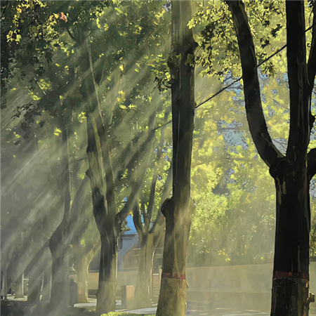 很罕见又很好看背景图无水印 时光匆匆抓住每一个美好的瞬间