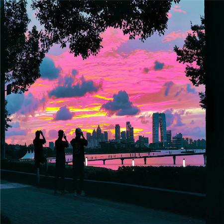 十分养眼风景静物配图无水印 能治愈心情的优质配图